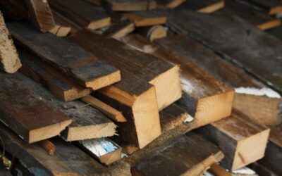 Onderhoud van tuinhout in Emmen: zo blijft je hout lang mooi